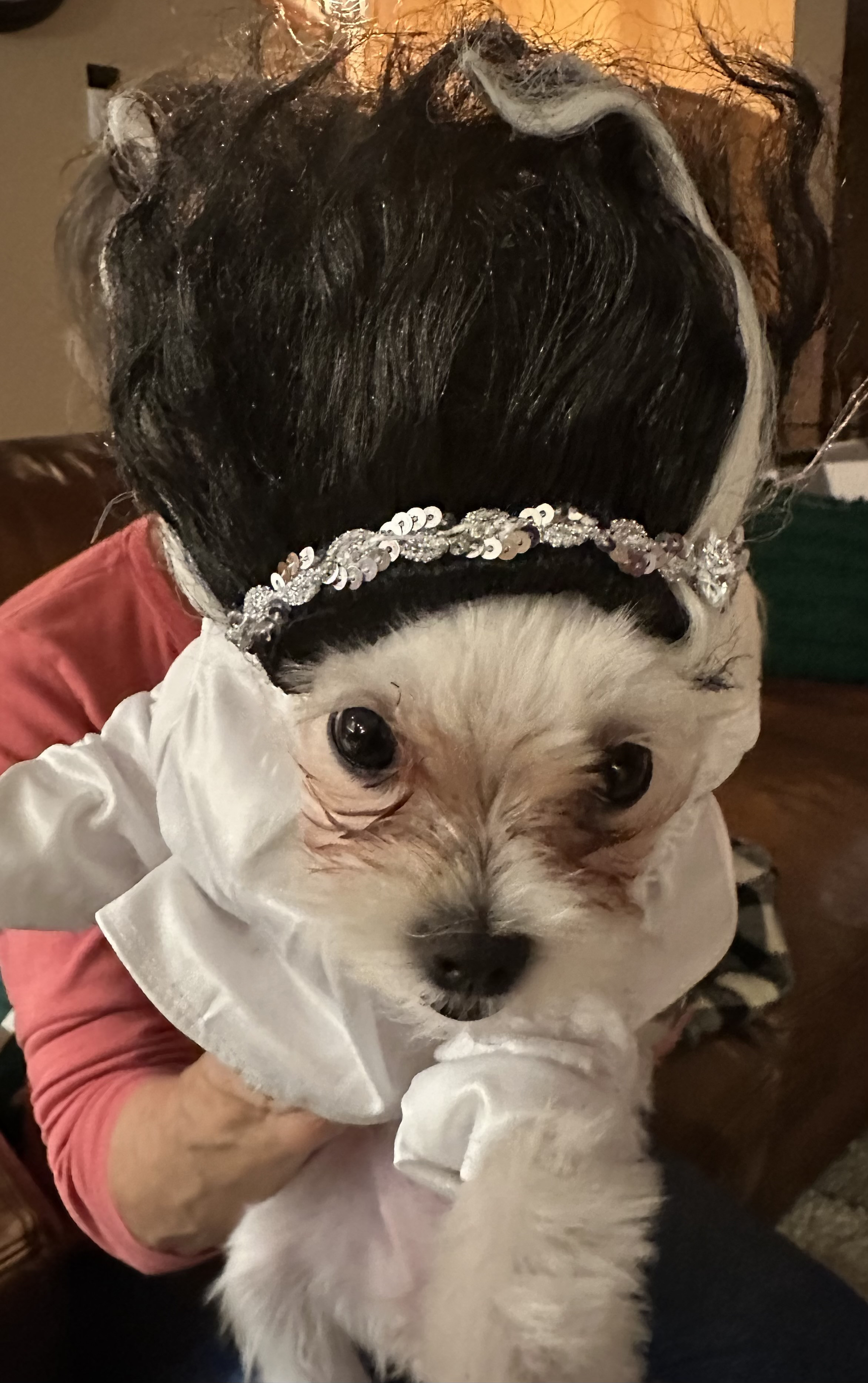 Lucy as Bride of Frankenstein